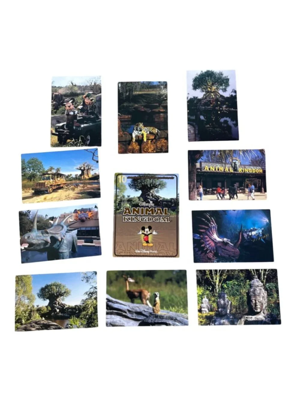 VTG Magical Memories Postcards 2 Packs (20 cards) Magic Kingdom Animal Kingdom